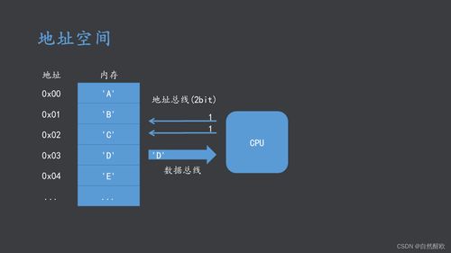 AMRT体系结构与接口技术 计算机软硬件协同开发的理论基石