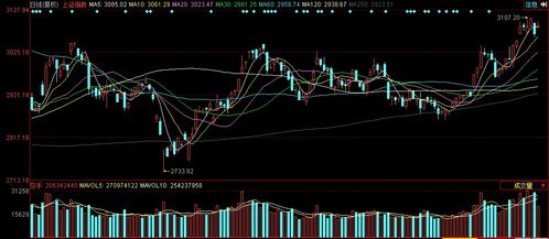 中孚信息引领涨停潮 中国软件板块走强背后的逻辑与机遇